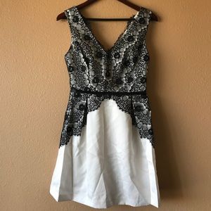 MaxAndCleo Nordstrom Lace Black White Short Dress